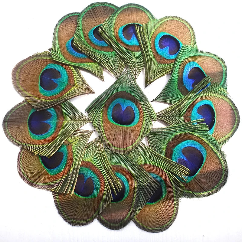Peacock Feather Decor