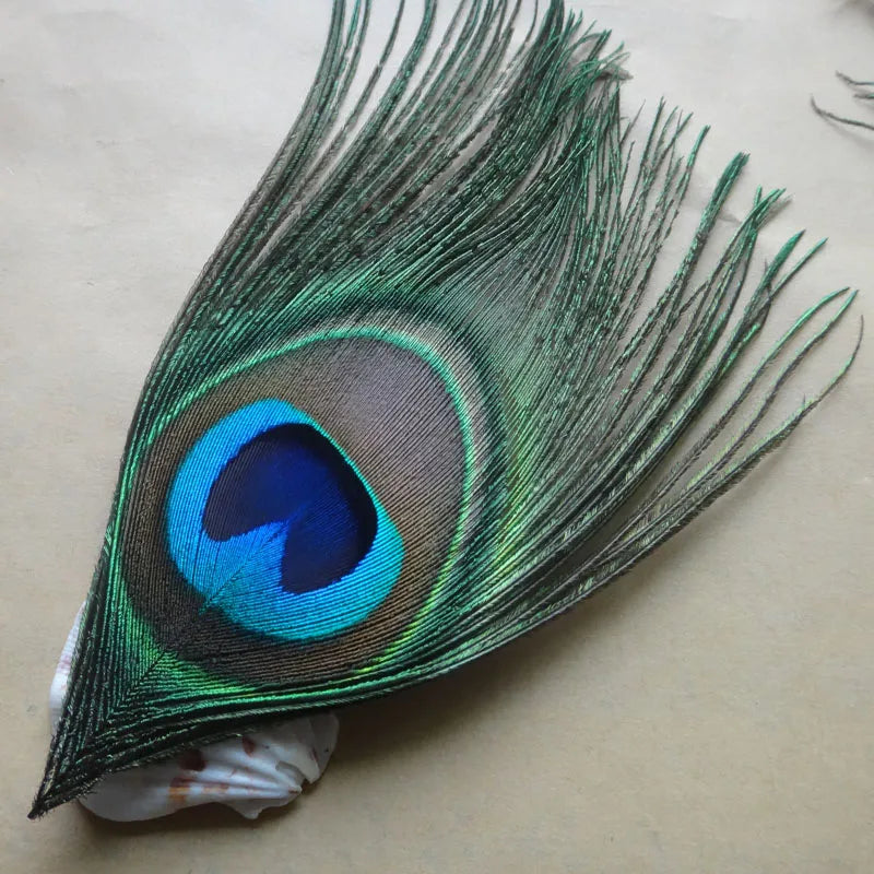 Peacock Feather Decor
