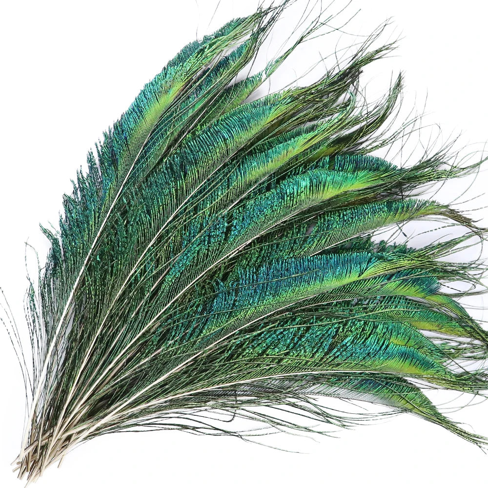 Natural Peacock Feathers