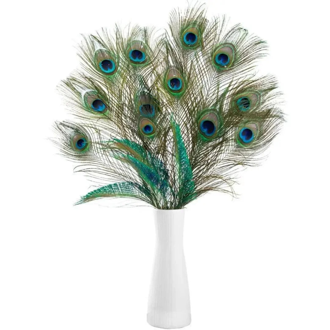 Natural Peacock Feathers