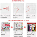 Bird Diy Peacock DIY Embroidery Kit