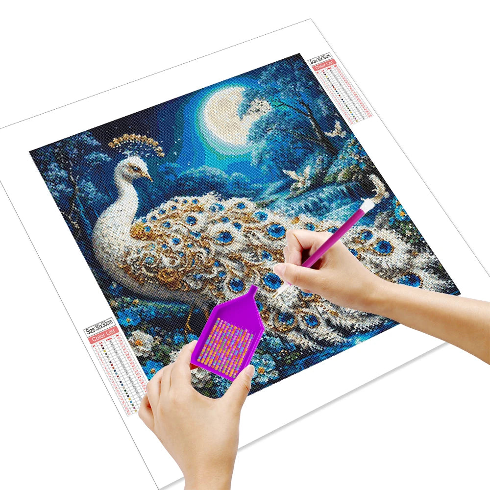 Huacan Peacock Diamond Painting Kits