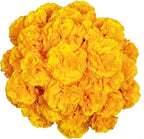 50Pcs Marigold Artificial Flowers for Day of The Dead, Diwali & Halloween Decor