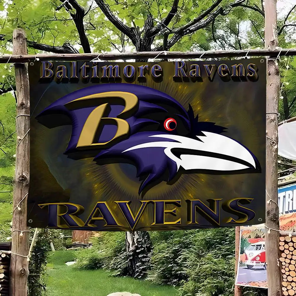 Baltimore Flag Banner