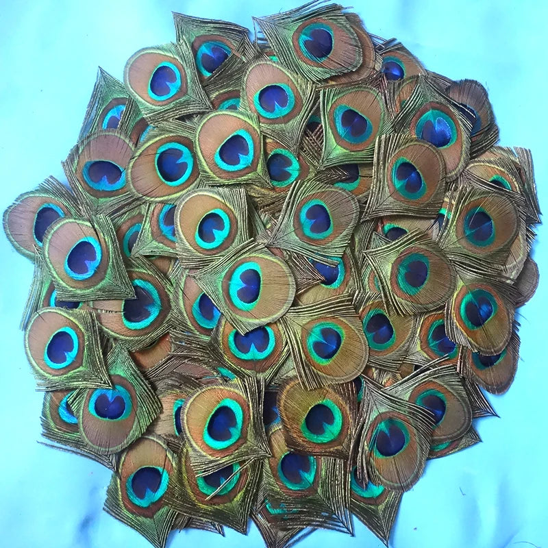 Peacock Feather Decor