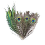 Natural Peacock Feathers