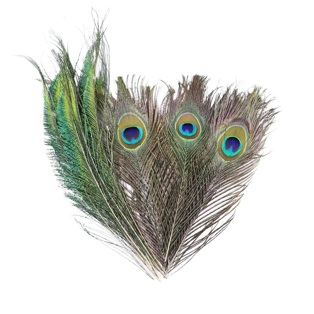 Natural Peacock Feathers