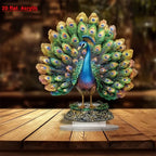 Peacock Spreading Tail