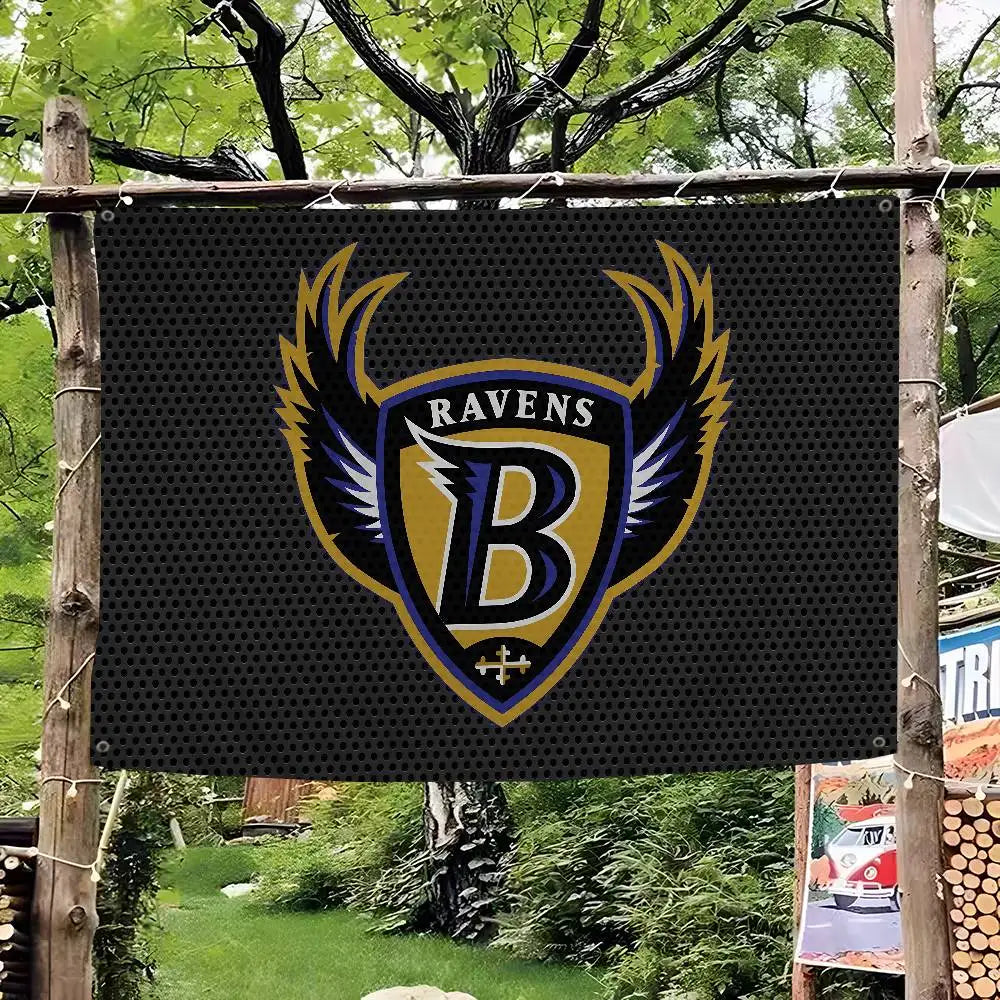 Baltimore Flag Banner
