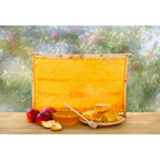 Happy Rosh Hashanah Photography Background Backdrop