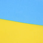 Small Ukraine Hand Waving Flag