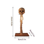 Skull Skeleton Lamp