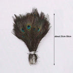 Peacock Feathers Bulk