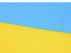 Small Ukraine Hand Waving Flag