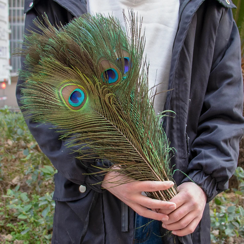 Peacock Decor Feathers