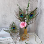 Natural Peacock Feathers