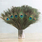 Peacock Feathers Bulk