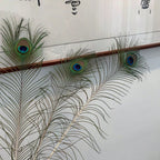 Peacock Feathers Bulk