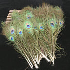 Peacock Feathers Bulk