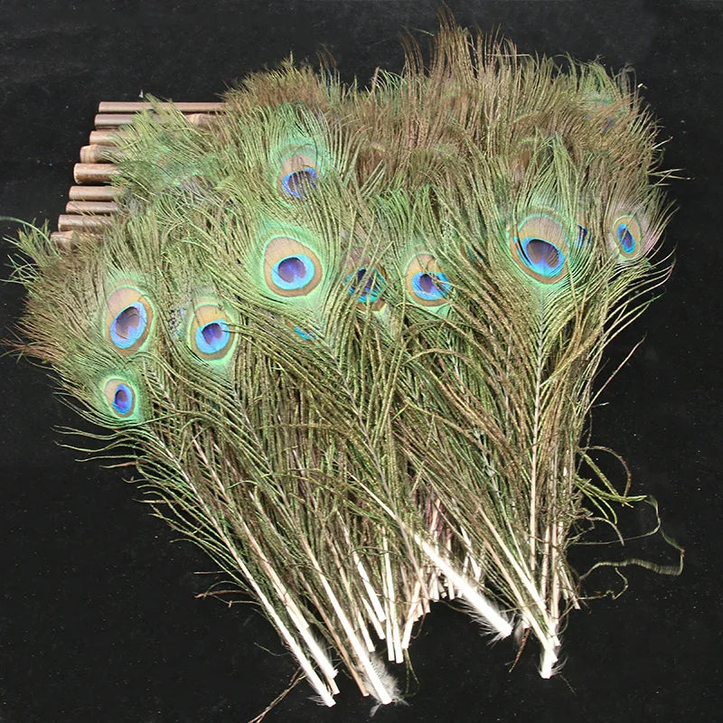Peacock Feathers Bulk