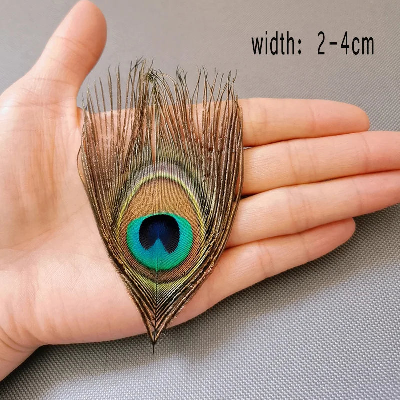 Peacock Feather Decor