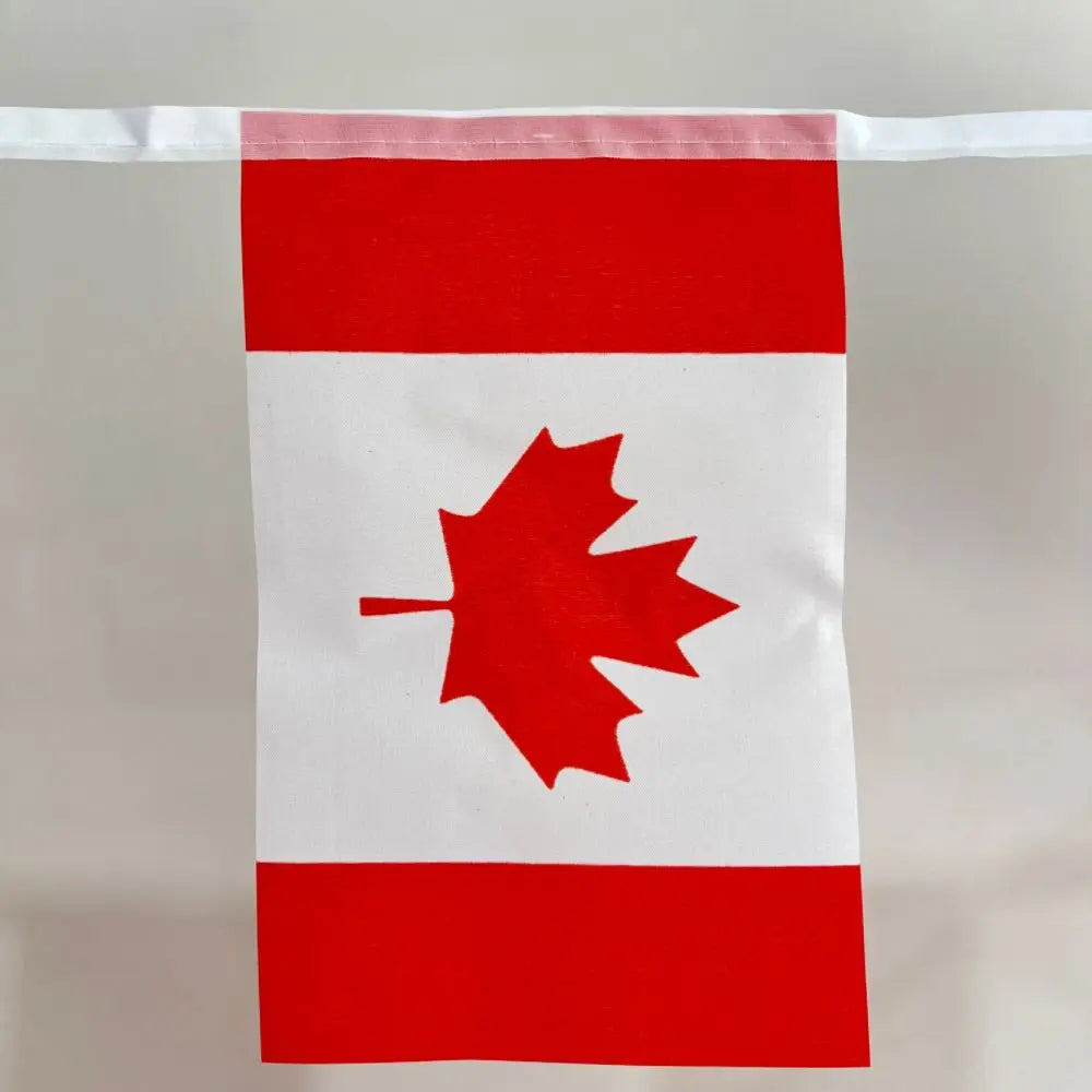 Canada  Flag 14x21cm Size 20 pieces National Flag Lines Hang On One Rope Canada Buntings  String Maple Banner Flags  Quality Pol