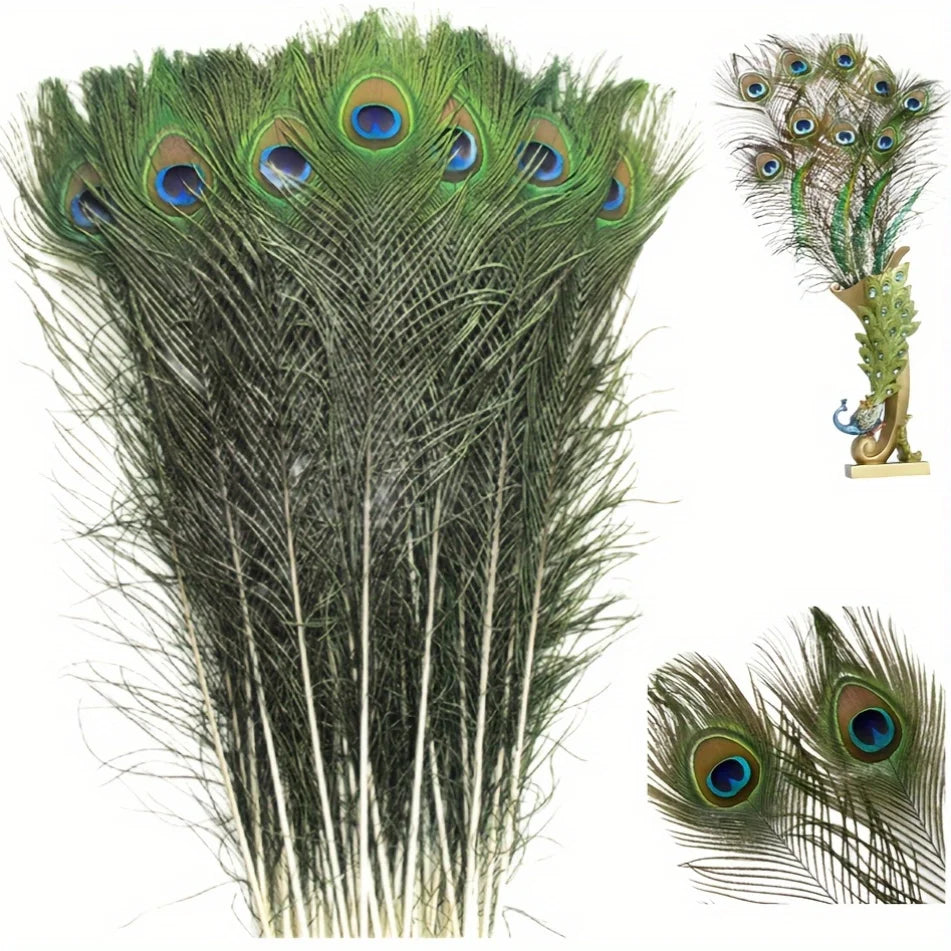 Peacock Decor Feathers