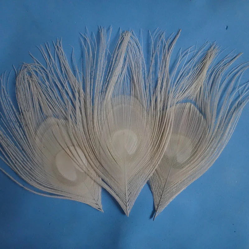 Peacock Feather Decor