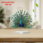 Peacock Spreading Tail