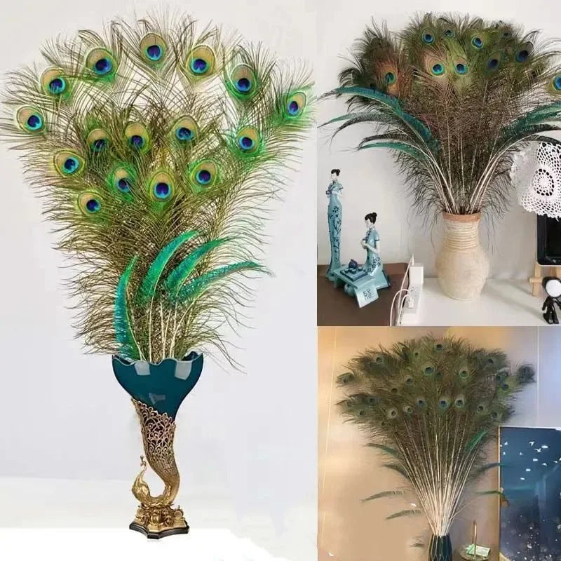 Natural Peacock Feathers
