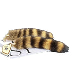American raccoon tail keychain