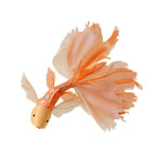Mid-Autumn Festival Koi Lantern Glowing