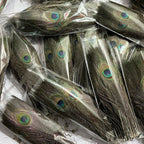Peacock Feathers Bulk