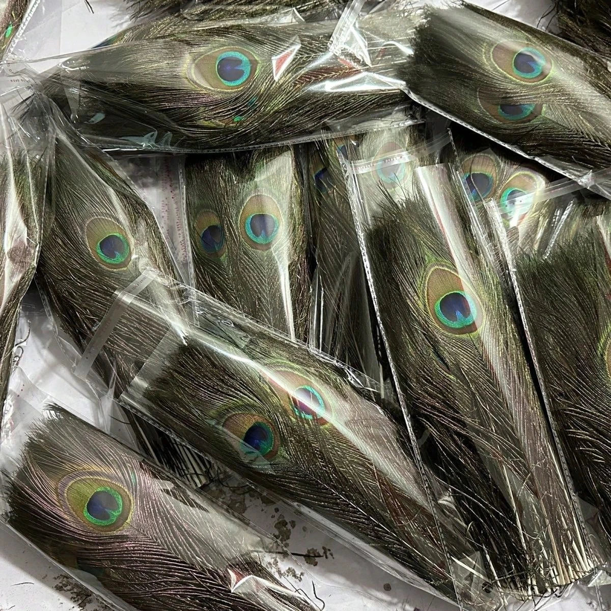 Peacock Feathers Bulk