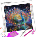 Peacock DIY Diamond Painting Complete Kit Decorative Paintings