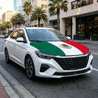 Mexico Flag Hoodie