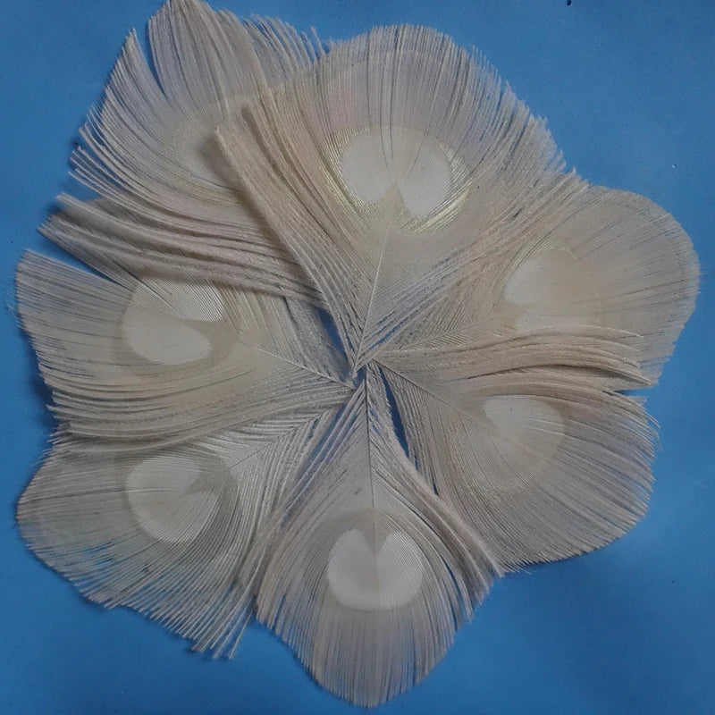 Peacock Feather Decor