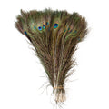 Natural Peacock Feathers