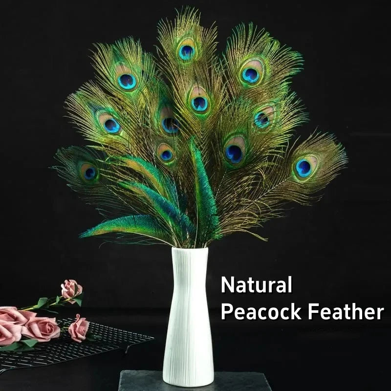 Natural Peacock Feathers
