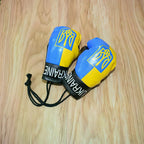 Ukraine National Flag Boxing Gloves