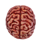 Brain Prop Hat